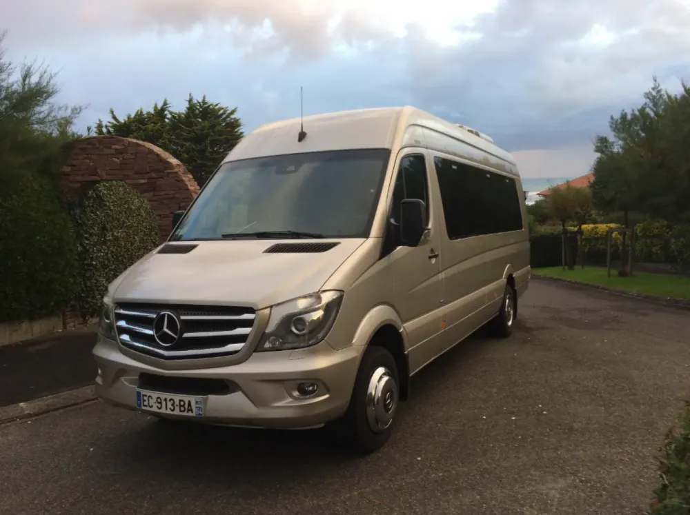Minibus beige